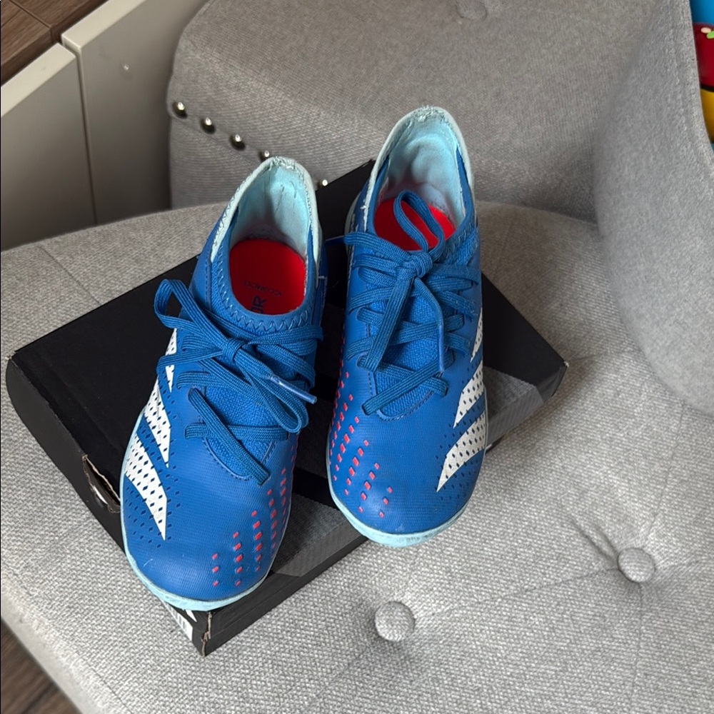 Adidas predator soccer shoes